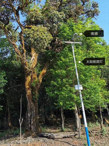 河南信陽市羊山新區(qū)南京路街道:安裝太陽能道路燈照亮百姓回家路