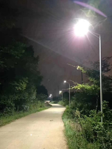 四川成都愛心老板捐贈(zèng)30W太陽能路燈“點(diǎn)亮鄉(xiāng)村、美好家園”