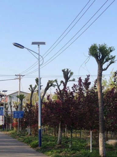 新農(nóng)村建設(shè)首選：0電費支出的夜色名片