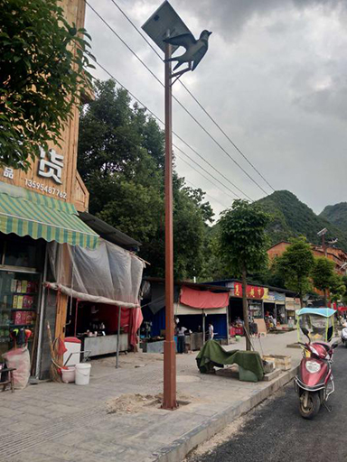 貴州黔南布依族苗族自治州惠水縣羨塘鄉(xiāng)人民政府太陽能路燈工程案例