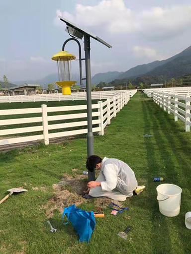 廣東省廣州市從化馬場(chǎng)太陽能殺蟲燈