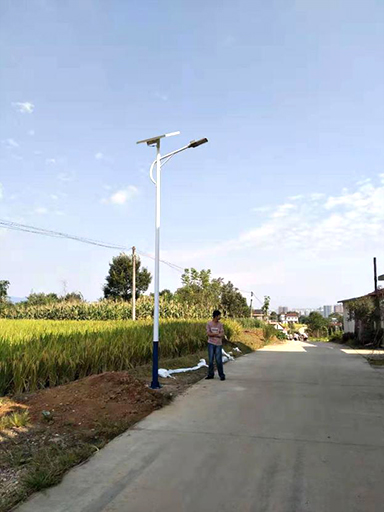 陜西漢中南鄭區(qū)大河坎鎮(zhèn)盧家溝村十組太陽能路燈工程案例